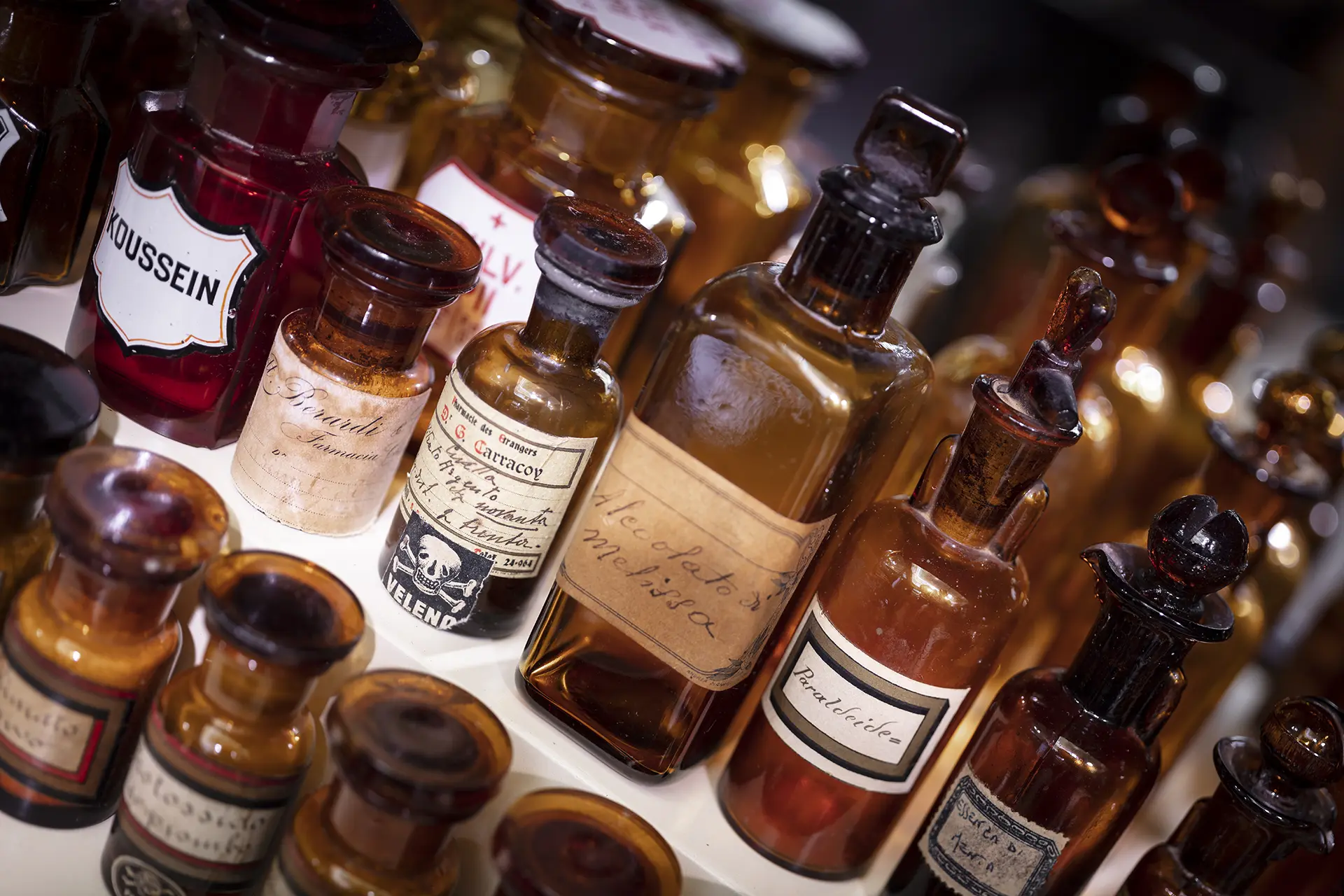 Realizzazioni Th.Kohl - Farmacia Carlucci Melfi PZ - gallery 06