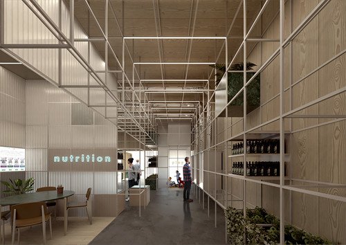 greenmesh nutrition4